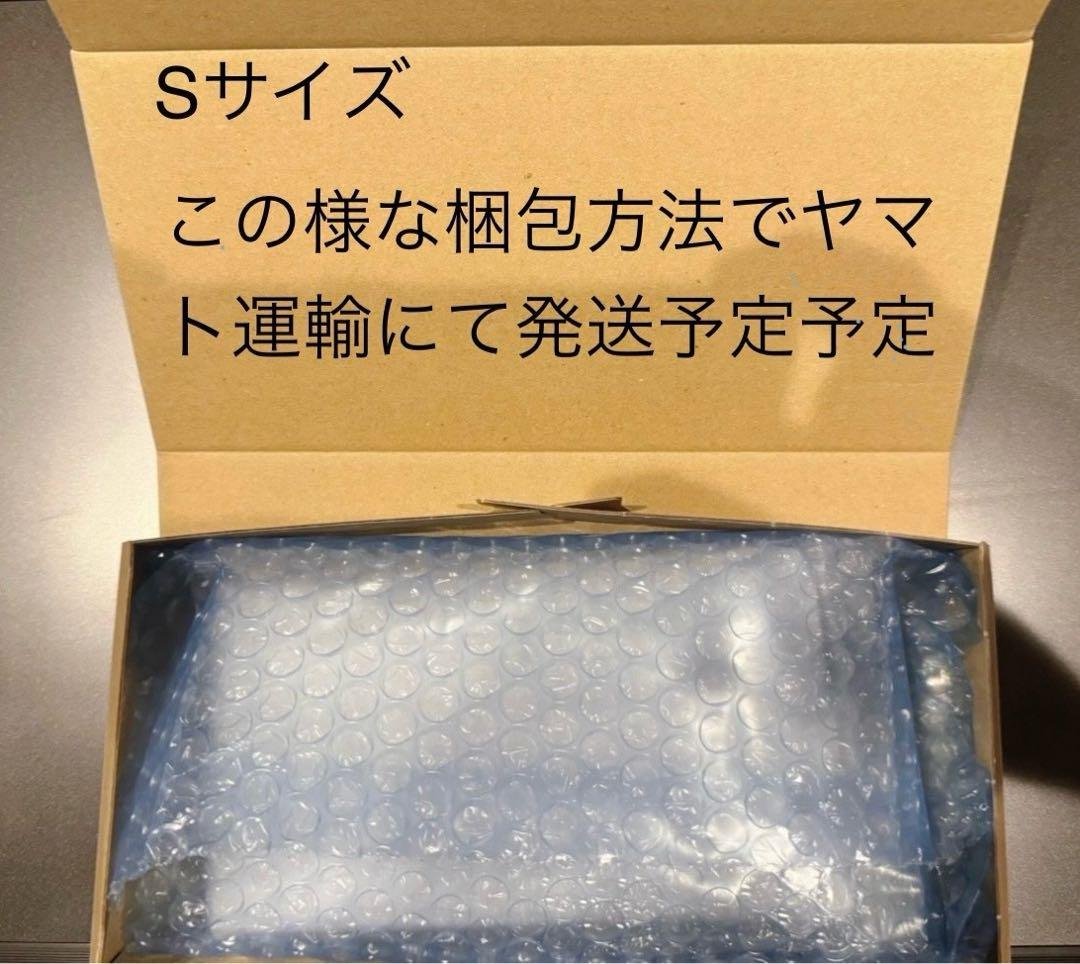 PSA10イーブイex SAR SV8a テラスタルフェスex 6451
