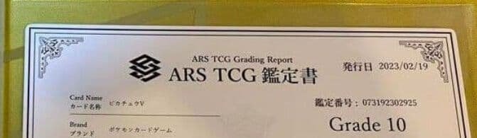 梱*録様 ARS10ゴールデンピカチュウ25th ゴールデンBOXのカードと鑑定