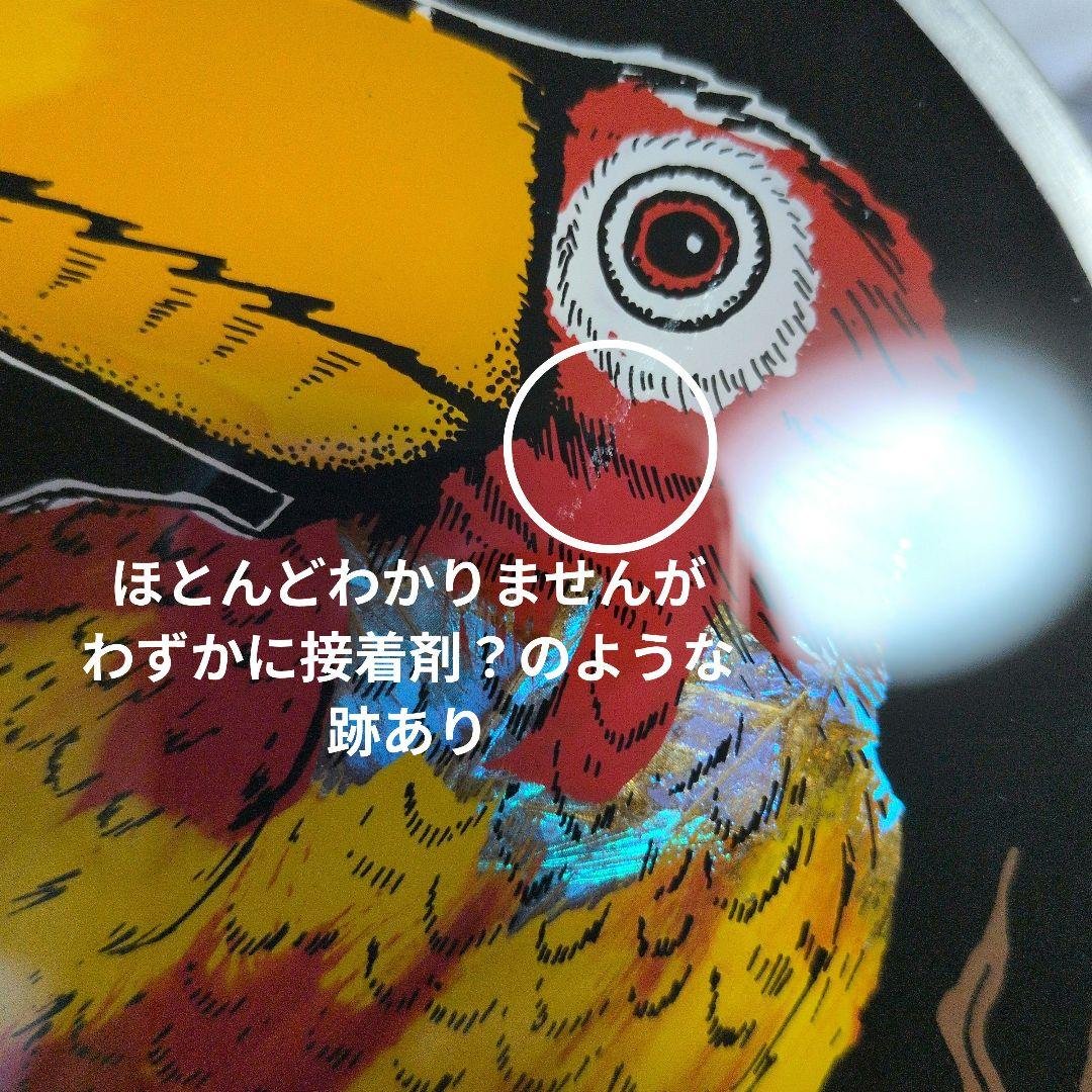 モルフォ蝶　壁掛け　鳥　ブラジル