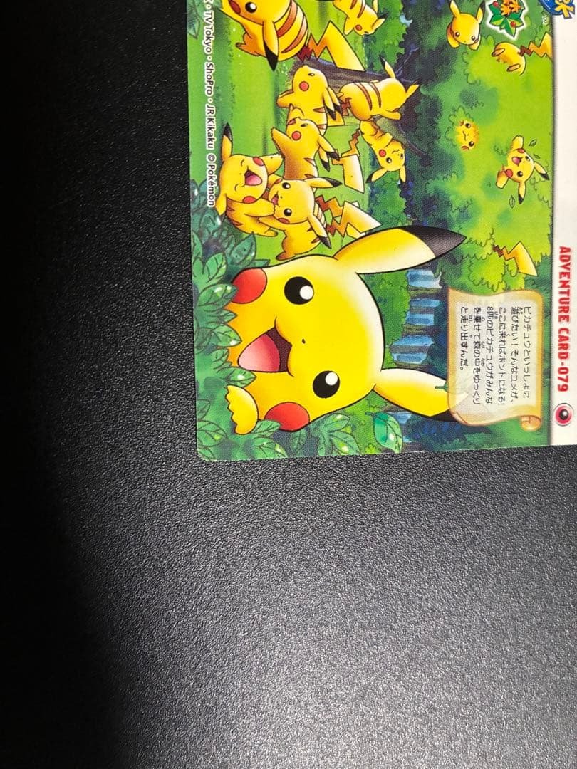 【超希少】ピカチュウの森　ポケパーク　アドベンチャーカード 079