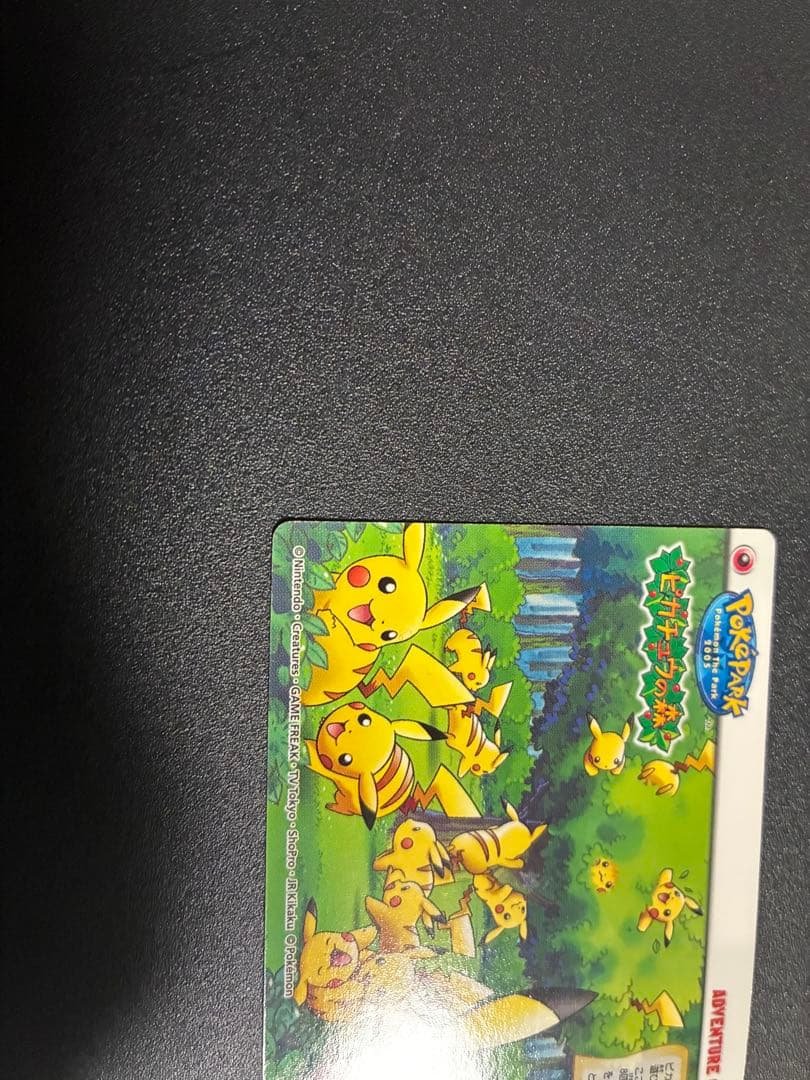 【超希少】ピカチュウの森　ポケパーク　アドベンチャーカード 079