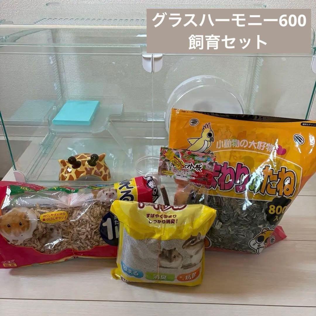 GEXグラスハーモニー600 ステージ付き