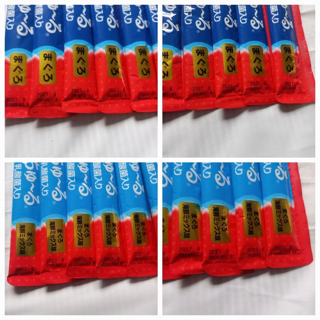 バラ売り限定味入り ちゅーる＆金のだし 107点セット