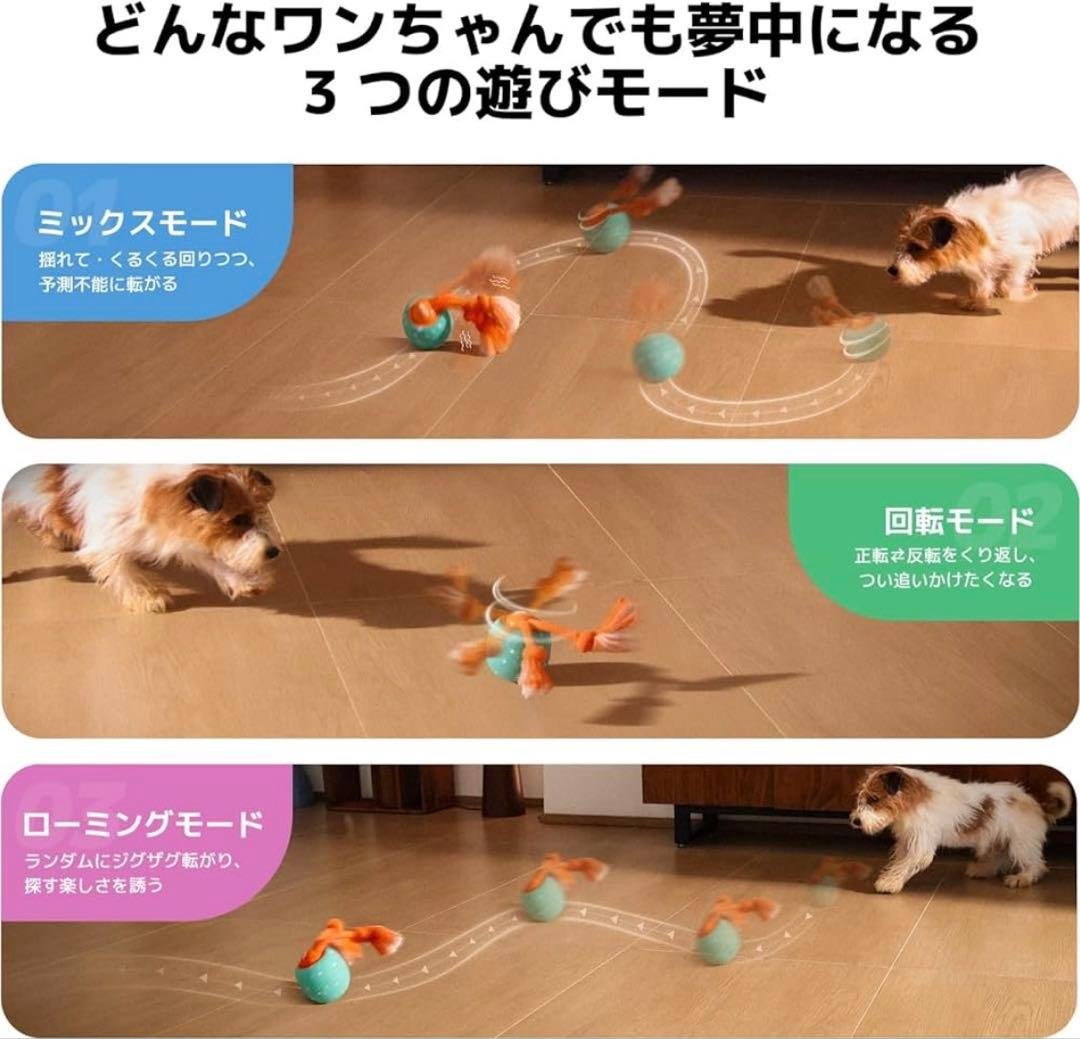 【未使用品】Wicked Ball Rolly 犬用おもちゃ